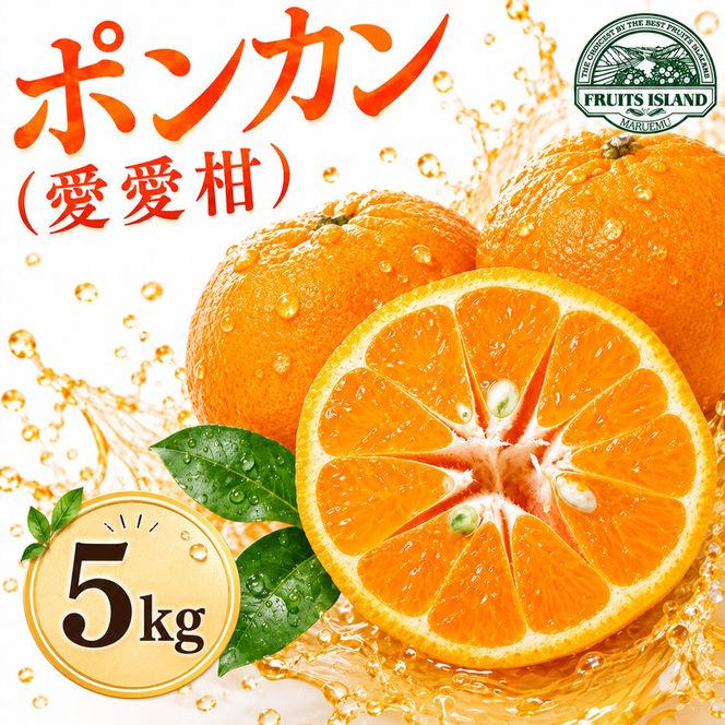 【先行予約】 ポンカン 約5kg 愛愛柑 10000円 ぽんかん みかん 蜜柑 果物 くだもの 果実 柑橘 ミカン mikan フルーツ ゼリー ジュース 甘い ジューシー デザート ブランド 特産品 国産 産直 産地直送 ビタミン 美容 健康 糖度 愛媛県 愛南町