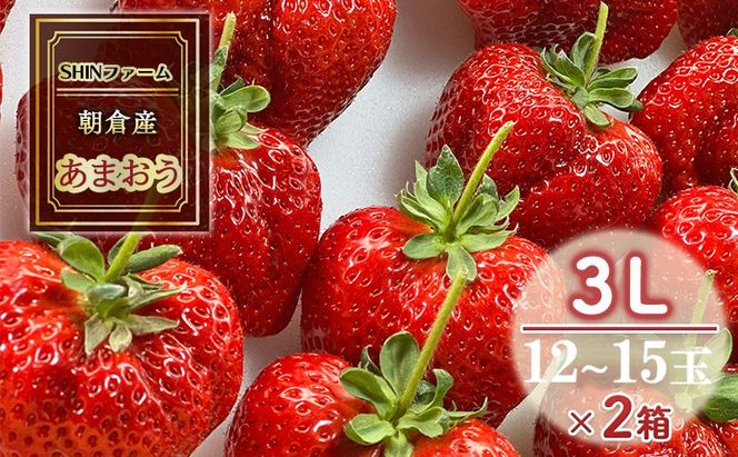 いちご 朝倉市産 あまおう 3L 12～15玉×2箱 イチゴ 苺 果物 デザート ＜SHINファーム＞ ※配送不可：離島 