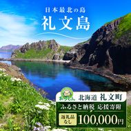 【返礼品なし】北海道 礼文町 ふるさと応援寄附金 100,000円コース ［北海道礼文町］【 寄附のみ 応援 支援 礼文島 地域貢献 自然保護 地方創生 まちづくり ふるさと納税 】