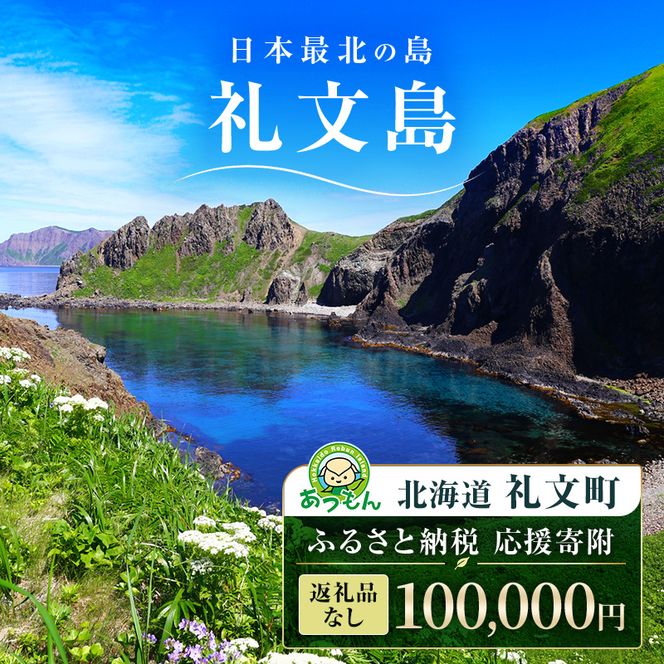 【返礼品なし】北海道 礼文町 ふるさと応援寄附金 100,000円コース ［北海道礼文町］【 寄附のみ 応援 支援 礼文島 地域貢献 自然保護 地方創生 まちづくり ふるさと納税 】
