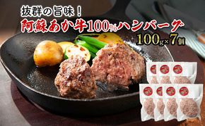 ハンバーグ 阿蘇 あか牛 100% 100g×7個 肉 牛肉 お肉 にく 配送不可：離島 