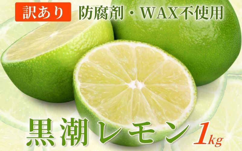 わけあり レモン1kg+250g(傷み補償分)[和歌山有田産][防腐剤・WAX不使用、安心の国産レモン][わけあり・訳ありレモン]※北海道・沖縄・離島への配送不可 / レモン 果物 くだもの フルーツ[ikd135B]