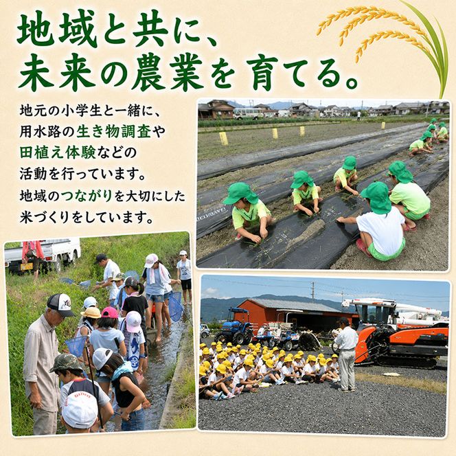 【令和7年産】特別栽培米 10kg【白米、7分ツキ】（コシヒカリ）