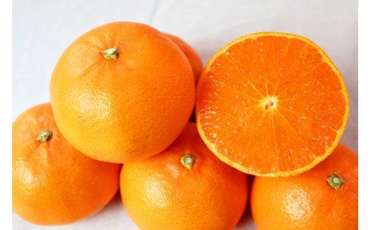 とろける食感 ジューシー柑橘 せとか 約2.5kg みかん 蜜柑 柑橘 オレンジ 果物 フルーツ 国産 和歌山県広川町 ※2027年1月下旬頃〜2027年2月上旬頃に順次発送予定【uot789A】