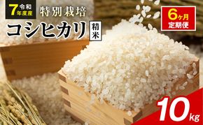 令和7年産 特別栽培米 コシヒカリ 白米 10kg 静岡県産 色彩選別済 食に意識高い方へオススメ 6ヶ月定期便