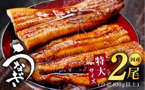 kgp0022 特大サイズ 国産うなぎ 2尾 合計400g以上