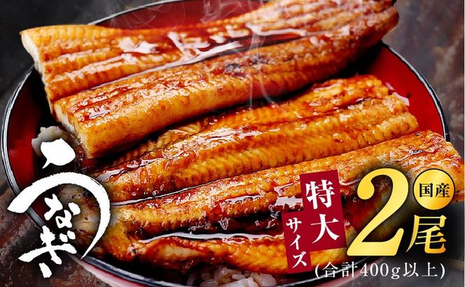 kgp0022 特大サイズ 国産うなぎ 2尾 合計400g以上