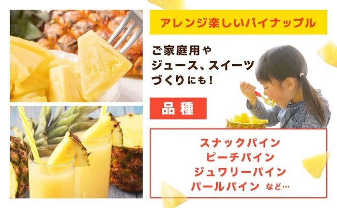 【2026年7月以降順次発送】川平パイン お徳用訳あり4kg ( 品種・玉数・サイズお任せ ) KN-6
