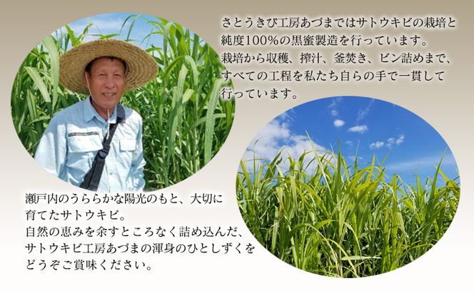 竹糖(145ml)2本セット  竹糖 セット 調味料 甘味料 さとうきび サトウキビ 岡山 瀬戸内市