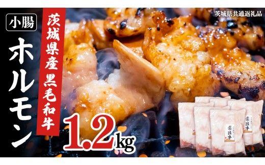 【茨城県産】 黒毛和牛 もつ鍋 焼肉用 小腸 1.2kg（200g×6パック） (茨城県共通返礼品) 国産 牛肉 肉 お肉 ホルモン もつ 焼肉