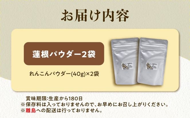 れんこんパウダー 2袋  レンコン 調味料 野菜 愛西市 / しょうがやさん 【配達不可：離島】[AEAO011]