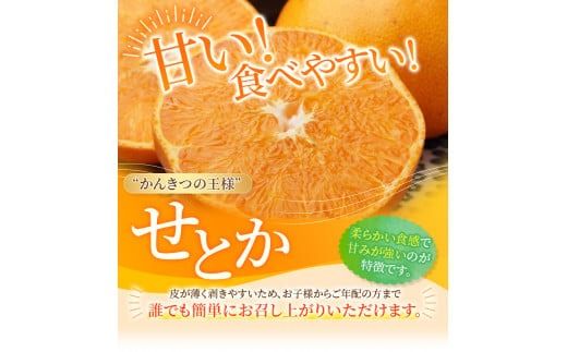 みかん せとか ご家庭用 たにぐち農園の せとか 4.5kg 大小混合【2026年3月から4月上旬までに順次発送】 / 家庭用 ご家庭用 せとか みかん 蜜柑 サイズ 不揃い【mtn012C】