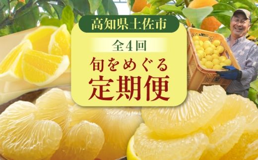 【4回定期便】バラエティ文旦 贅沢コース〈水晶文旦・温室文旦・贈答品 土佐文旦 〉/ 文旦 ぶんたん ブンタン 土佐文旦 水晶文旦 温室文旦 柑橘 フルーツ 果物 くだもの 定期便【白木果樹園】 [BQAI061]