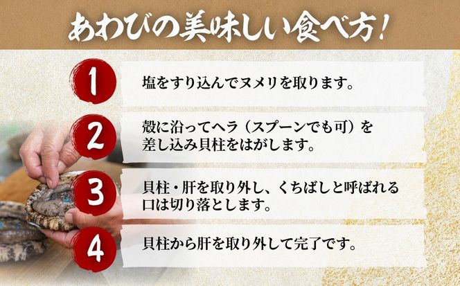 北海道室蘭産 天然活蝦夷あわび 選べる個数 2/3/4/5/10個入（1個100g～120g前後）2026年11月下旬頃～2027年1月下旬頃順次発送 MROH006-v
