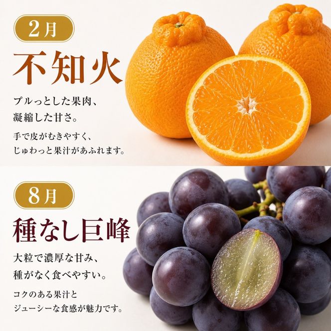 【2・8・9・12月 全4回】紀州和歌山産旬のフルーツセット（巨峰・シャインマスカット・みかん・不知火） 定期便 AN052