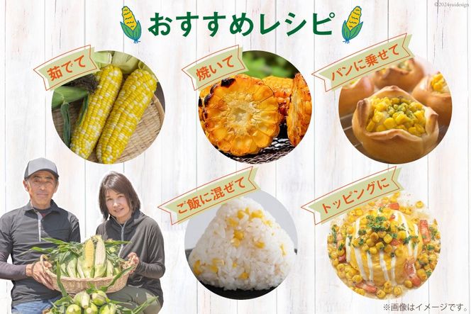 AI206 とうもろこし スイートコーン ホワイト 5kg 10〜12本 [ トウモロコシ コーン ホワイトコーン 野菜 5キロ さかいさんち SAKAI FARM 長崎県 島原市 ]