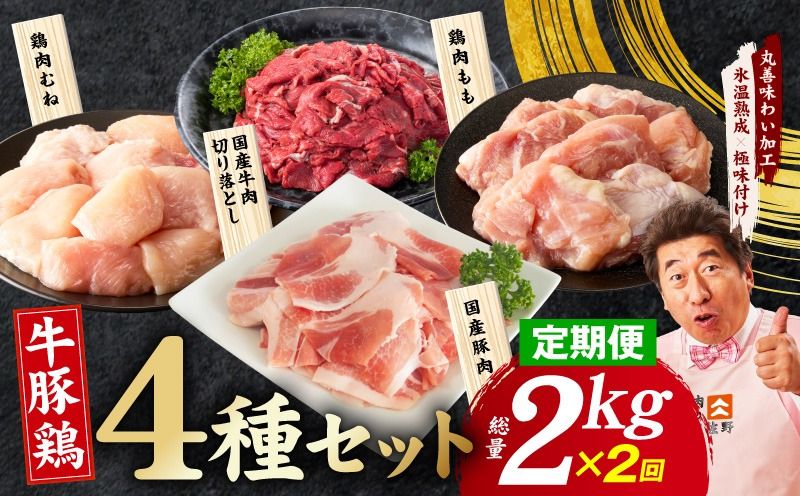mrzZ086 [定期便]国産 牛豚鶏 4種セット 2kg×2回[氷温熟成×極味付け 牛肉 豚肉 鶏肉 もも むね 食べ比べ 普段使い 味付き 小分け 訳あり サイズ不揃い 毎月配送コース]