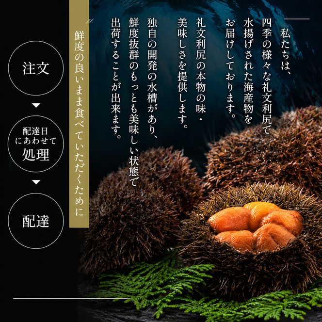 北海道 礼文島産 ミョウバン不使用 塩水ウニ エゾバフンウニ 100g×2パック［野崎水産］【 うに ウニ 雲丹 生うに 塩水うに バフンウニ 素材本来の味 海鮮 うに丼 濃厚 甘み 産地直送 】