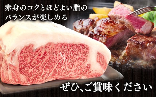 熊本県産 GI認証取得 くまもとあか牛 ロースブロック 選べる 内容量 1kg 2kg くまふる《45日以内に出荷予定(土日祝除く)》熊本県 長洲町 肉 牛肉 あか牛 赤牛 ロース ブロック 熊本県産 国産---sn_fkmrsb_26_45d_43500_1kg---