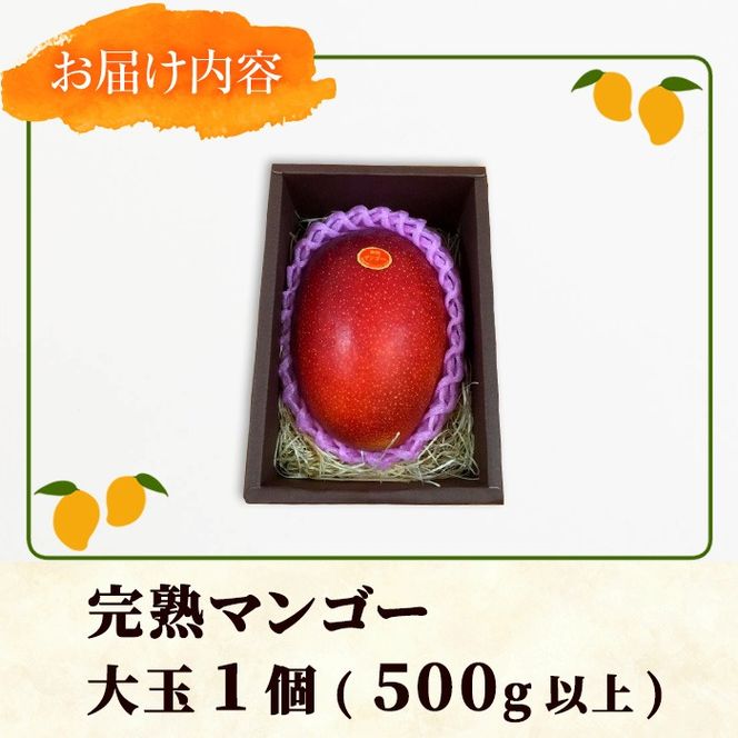 【0145942a】＜秀品・数量限定！＞南国鹿児島県産の太陽の恵み！完熟マンゴー(大玉1個・550g以上) 果物 フルーツ 果実 デザート 国産 冷蔵 【東串良物産館ルピノンの里】【0145912a】《先行予約受付中！2027年7月下旬頃までに発送》＜秀品・数量限定！＞南国鹿児島県産の太陽の恵み！完熟マンゴー(大玉1個・500g以上) 果物 フルーツ 果実 デザート 国産 冷蔵 【東串良物産館ルピノンの里】