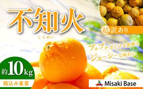 【先行受付】【※超訳あり】不知火（しらぬい） 10kg ※離島への配送不可 （2026年2月中旬より順次発送） KTAB006 