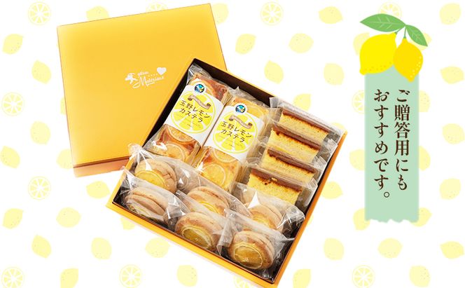 瀬戸内 レモン 焼菓子 セット (2) 玉野市 特産品 デザート スイーツ お菓子 菓子 おかし 
