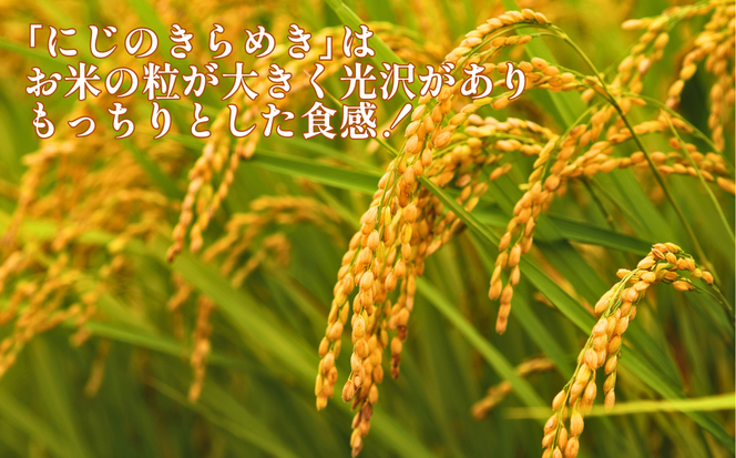 新米 令和7年産 にじのきらめき 5kg 17000円 奥山の冷たい水で育てた 愛媛県 愛南町産 石川さんちのお米 送料無料 産地直送 農家直送 米 こめ ブランド米 新品種 大粒 もっちり 甘い 冷めても美味しい お弁当 おにぎり にもおすすめ 数量限定 期間限定 特産品 人気 ランキング ギフト 贈答 プレゼント 内祝い お返し お取り寄せ 愛媛県 愛南町 石川健一