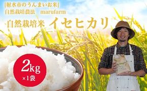 【射水の美味しいお米】【自然栽培農法】自然栽培農家 marufarm 自然栽培米「イセヒカリ」2kg ※2026年10月～発送