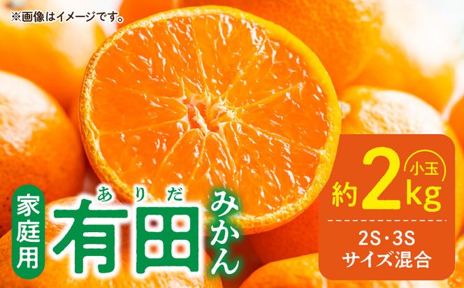 DZ6220_【2026年先行予約】家庭用 有田みかん 和歌山 小玉(2S,3Sサイズ混合) 約2kg