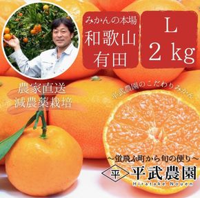 完熟有田みかん 約2kg Lサイズ 秀品 平武農園 農家直送 蛍飛ぶ町から旬の便り BX119