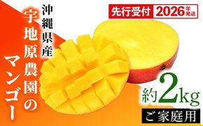 【先行受付】【2026年発送】宇地原農園の沖縄県産 家庭用マンゴー約2kg - 先行予約 沖縄県産 産地直送 南国フルーツ 旬の味覚 季節の果物 ご自宅用 アップルマンゴー 沖縄県 八重瀬町