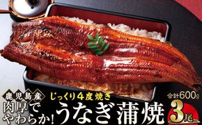 うなぎ 蒲焼 200g×3尾【鹿児島産】地下水で育てた絶品鰻 464686_AQ109