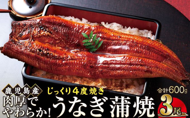 うなぎ 蒲焼 200g×3尾【鹿児島産】地下水で育てた絶品鰻 464686_AQ109
