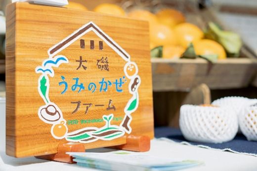 159-2048-09　【お買い得】大磯産『太秋柿』10～15個入り（訳あり　約４kg）〈出荷時期:2026年10月中旬～2026年11月中旬〉【 神奈川県 大磯町 】