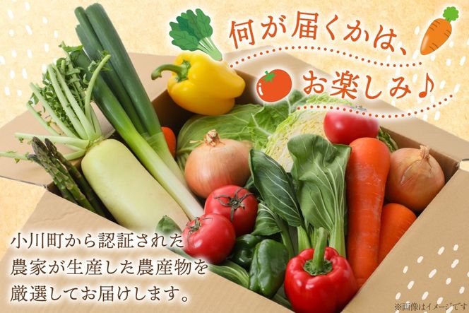 野菜 セット OGAWA'N 野菜セット 定期便 12回 [JA埼玉中央 埼玉県 小川町 138] 1年 12ヶ月 連続 やさい 季節野菜 詰め合わせ 食べ比べ 旬 農産物