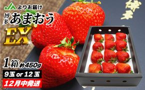 【先行予約】12月発送！「博多あまおう」EX　贈答用化粧箱　約450g 1箱【ほたるの里】_HA0754