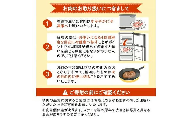 鹿児島県産 黒毛和牛100％！手ごねハンバーグ 1.2kg (100g×12個） a0-406