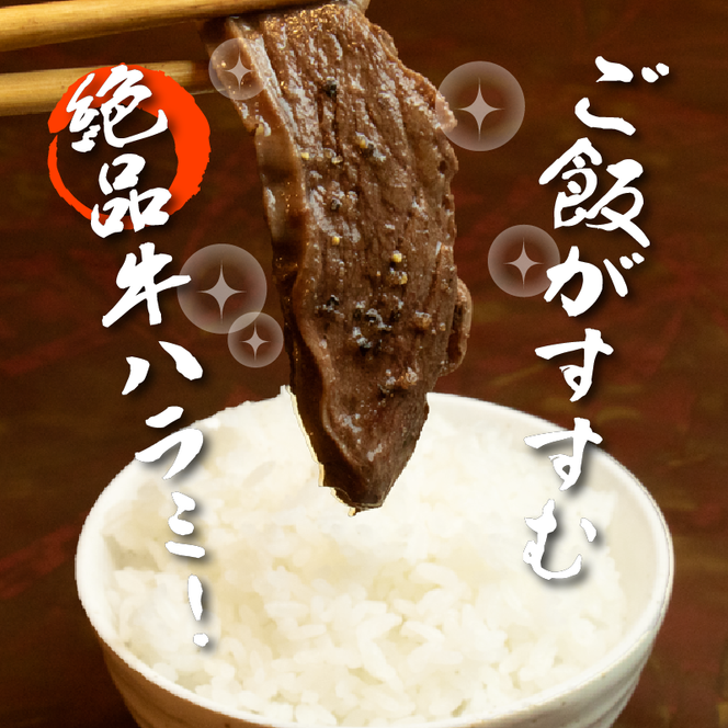 牛ハラミ 1kg×1袋 | 牛肉 ビーフ 厚切り 熟成 冷凍 大容量 焼肉 厚さ約8mm 牛 肉 お肉 精肉 スライス BBQ バーベキュー おかず おつまみ 北海道 滝川市