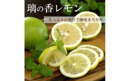 【先行予約】レモン 約1.5kg 4～7個〈2026年10月下旬～12月上旬頃発送〉  / 璃の香レモン 果物 くだもの 柑橘 フルーツ れもん お取り寄せ 産地直送 おいしい 美味しい 白木果樹園 常温 配送 高知県 高知 土佐市【白木果樹園】 [BQAI024]