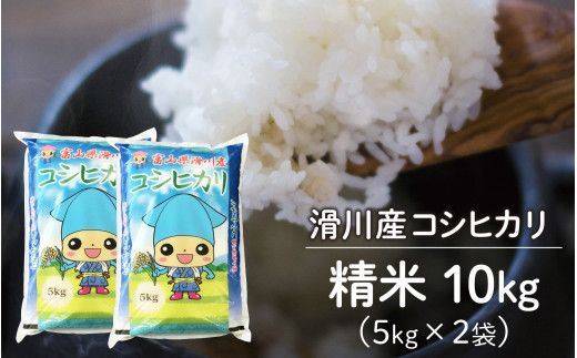 滑川産コシヒカリ（精米10kg）[C-007002]