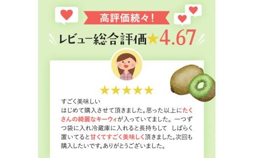 ＜11月より発送＞わけあり キウイ10kg+250g（傷み補償分）【わけあり・訳あり・扁平果】 / 和歌山  フルーツ 果物 くだもの 旬 キウイフルーツ キウイ【ikd716】