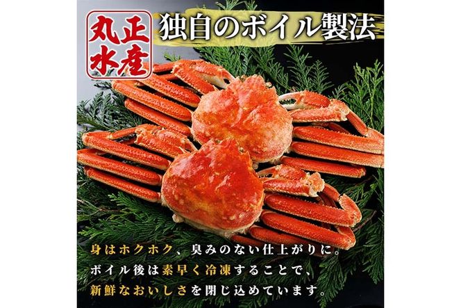 ボイル ズワイガニ(1杯)カニ フレーク 付き ずわいがに ずわい 蟹 カニ かに 姿 ガニ 冷凍 蟹しゃぶ 蟹鍋 天ぷら ぞうすい 味噌汁 【AW-118】【丸正水産】
