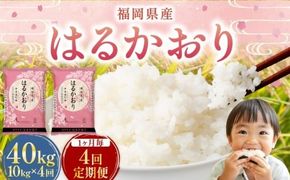 【1ヶ月毎4回定期便】 はるかおり 10kg 計40kg ／ 米 コメ お米 ライス ご飯 ごはん 飯 食品 精米 定期便 常温 福岡県 香春町