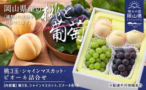 桃 ぶどう 2026年 白桃 晩生種 3玉 シャイン マスカット 1房 ニュー ピオーネ 1房 合計約1.8kg もも 葡萄 岡山県産 国産 フルーツ 果物 ギフト