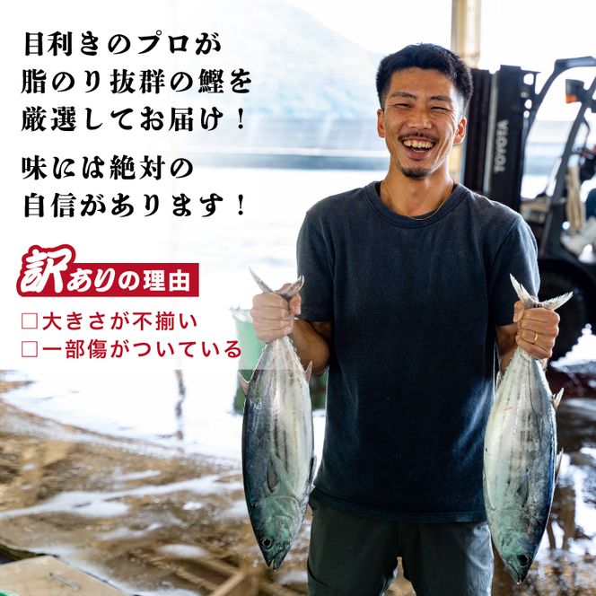 訳あり 鰹 たたき 1.8kg サイズ 不揃い 規格外 傷 小分け 真空 パック 新鮮 鮮魚 天然 鰹 四国一 水揚げ タタキ 冷凍 大容量 人気 ハマスイ 愛南町 愛媛県
