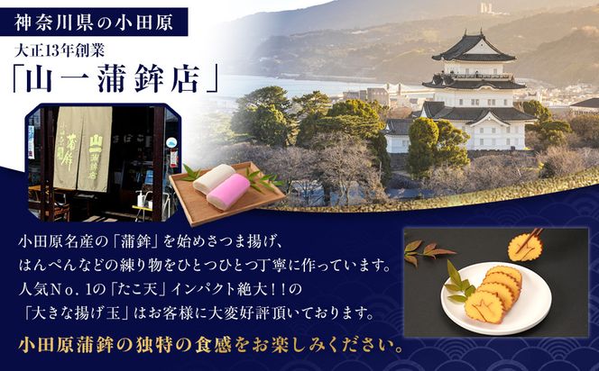 《小田原市 山一蒲鉾店》小田原名産 蒲鉾(白)1本 焼き蒲鉾1本 贈答品 自宅用 【 神奈川県 小田原市 】 142069_GK001