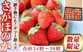 a881 ＜先行予約受付中！2027年2月上旬～3月下旬に発送予定＞ いちご・さがほのか(合計24粒～30粒)【佳農園】国産 鹿児島県産 苺 イチゴ フルーツ 果物 くだもの ギフト 贈答用