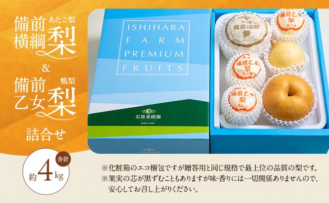 梨 2026年 先行予約 備前横綱梨（あたご梨） 2玉（1玉1～1.5kg）・備前乙女梨（鴨梨） 4～6玉 詰合せ 合計約4.0kg 【11月下旬～12月中旬頃発送】岡山県産 フルーツ ギフト 石原果樹園 果物 