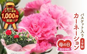 ＼先行受付 令和8年5月10日の母の日お届け：5月6日(水) 決済完了分まで！／  カーネーション 2種「 4号鉢 バスケット 入り 」 母の日直前にお届け 2026年 お母さんへの心を込めた贈り物 長持ち 鉢植え フラワーセット プレゼント 送料無料 故郷納税 福島県 田村市 フローラハシモト N052-005