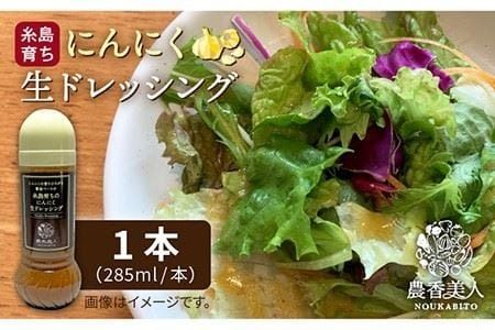 糸島そだちのにんにく 生ドレッシング(285ml×1本)[農香美人] [AAG010] ドレッシング ボトル 栽培期間中 農薬不使用 野菜 お試し